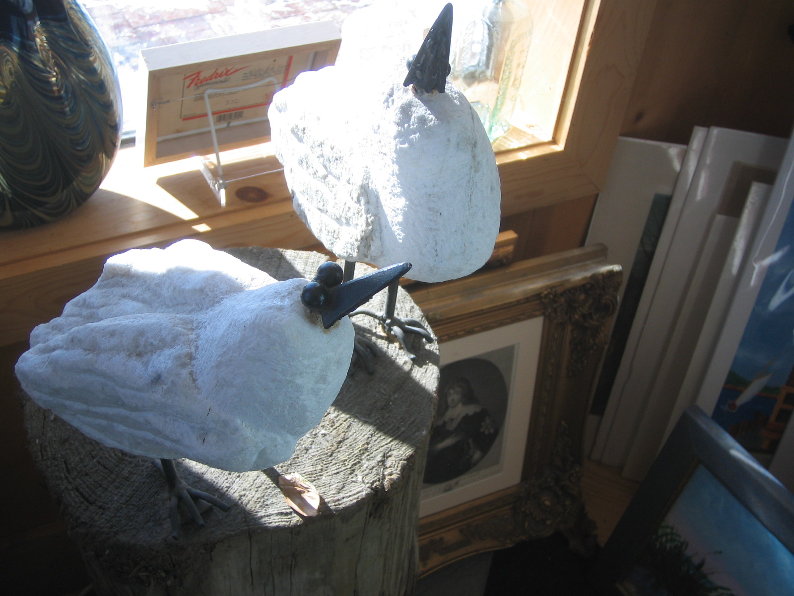 seagulls