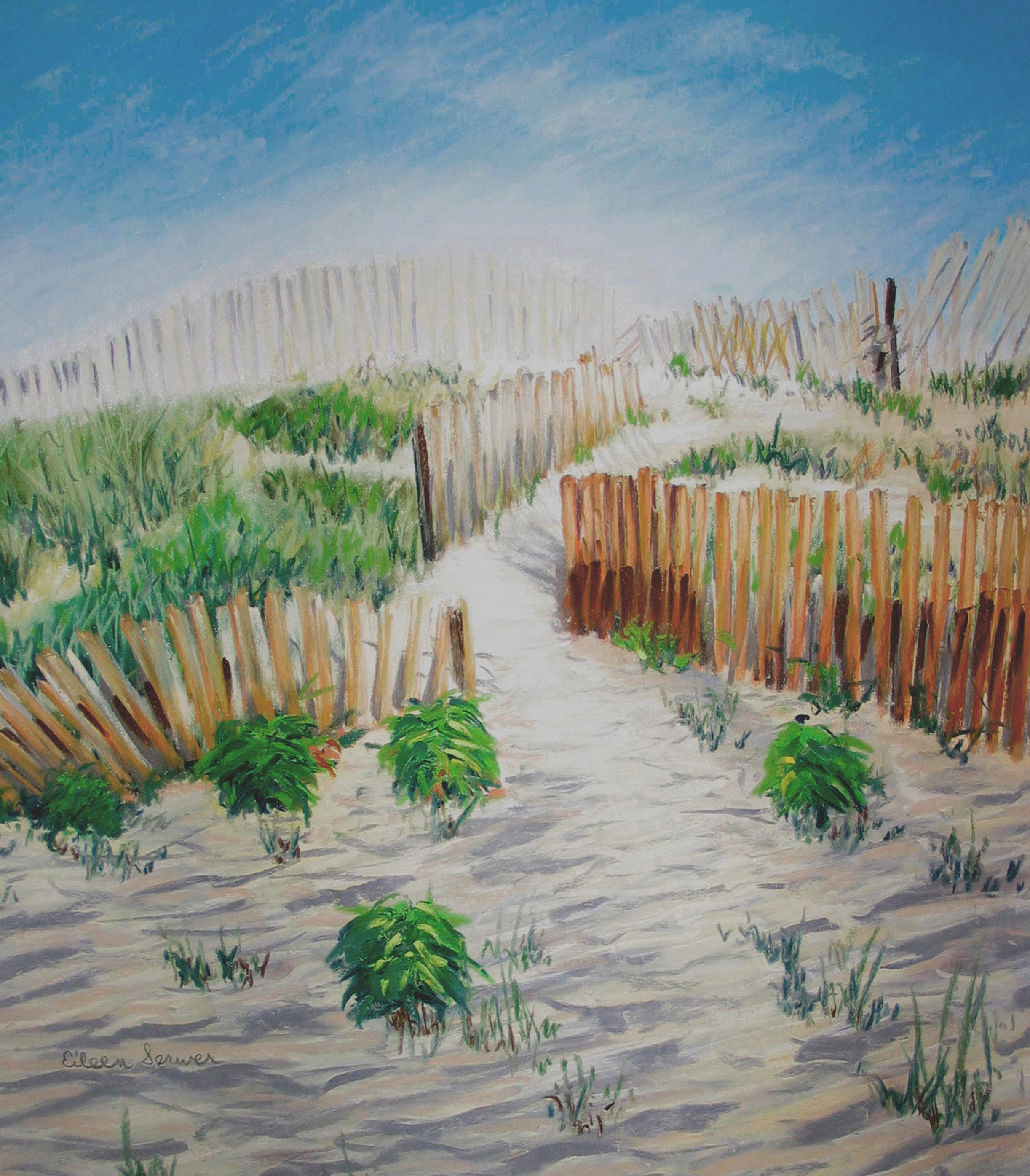 Shadows in the Sand